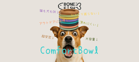 ComfortBowl by BONEFISH: Not Just a Bowl, But a Better Way to Adventure