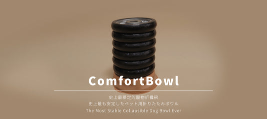 The Most Stable Collapsible Dog Bowl Ever - BONEFISH ComfortBowl