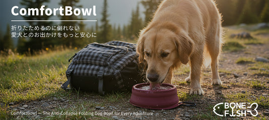 ComfortBowl — The Anti-Collapse Folding Dog Bowl for Every Adventure