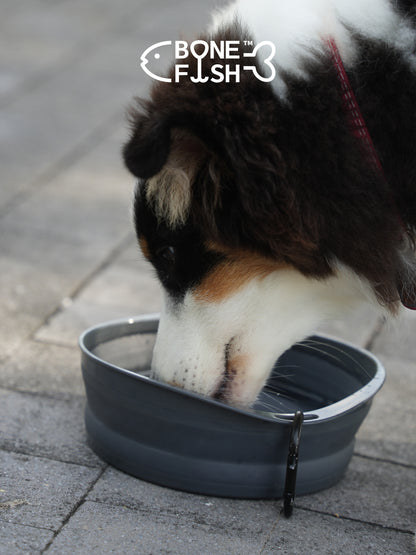 ComfortBowl (Collapsible Dog Bowl)