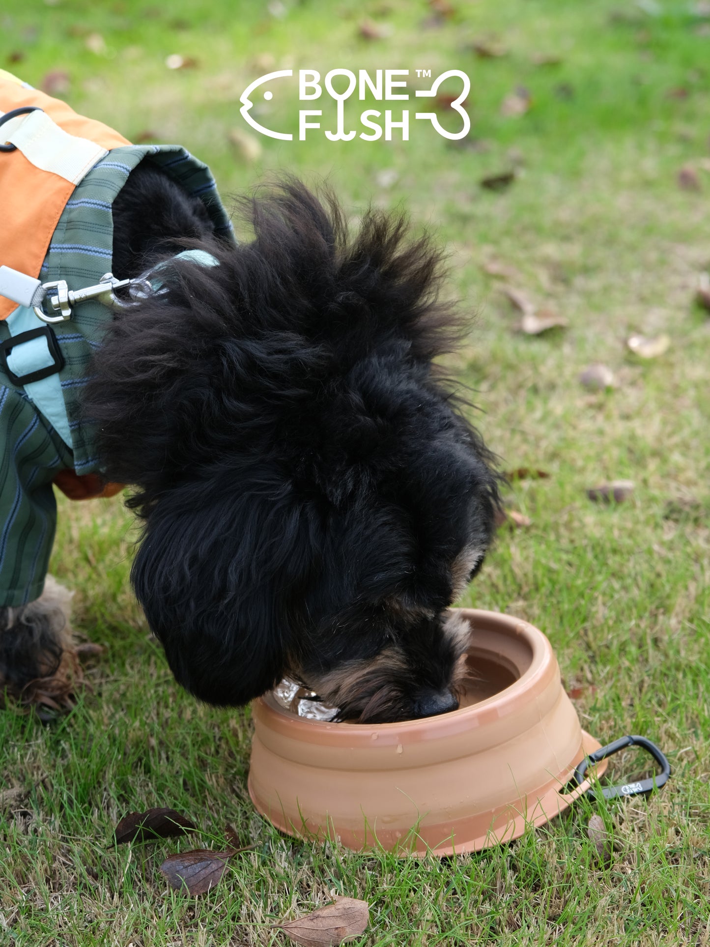 ComfortBowl (Collapsible Dog Bowl)