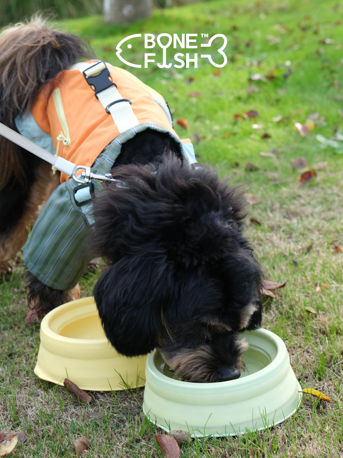 ComfortBowl (Collapsible Dog Bowl)