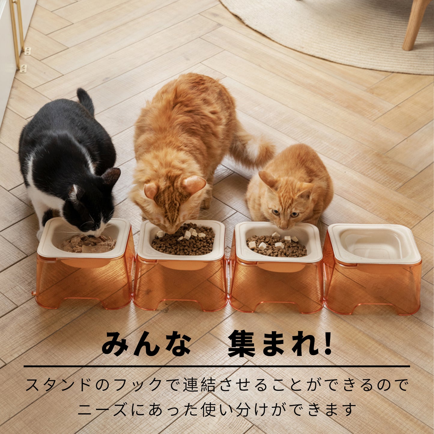 エコ使い捨てペットボウル｜生分解性ディスポボウル