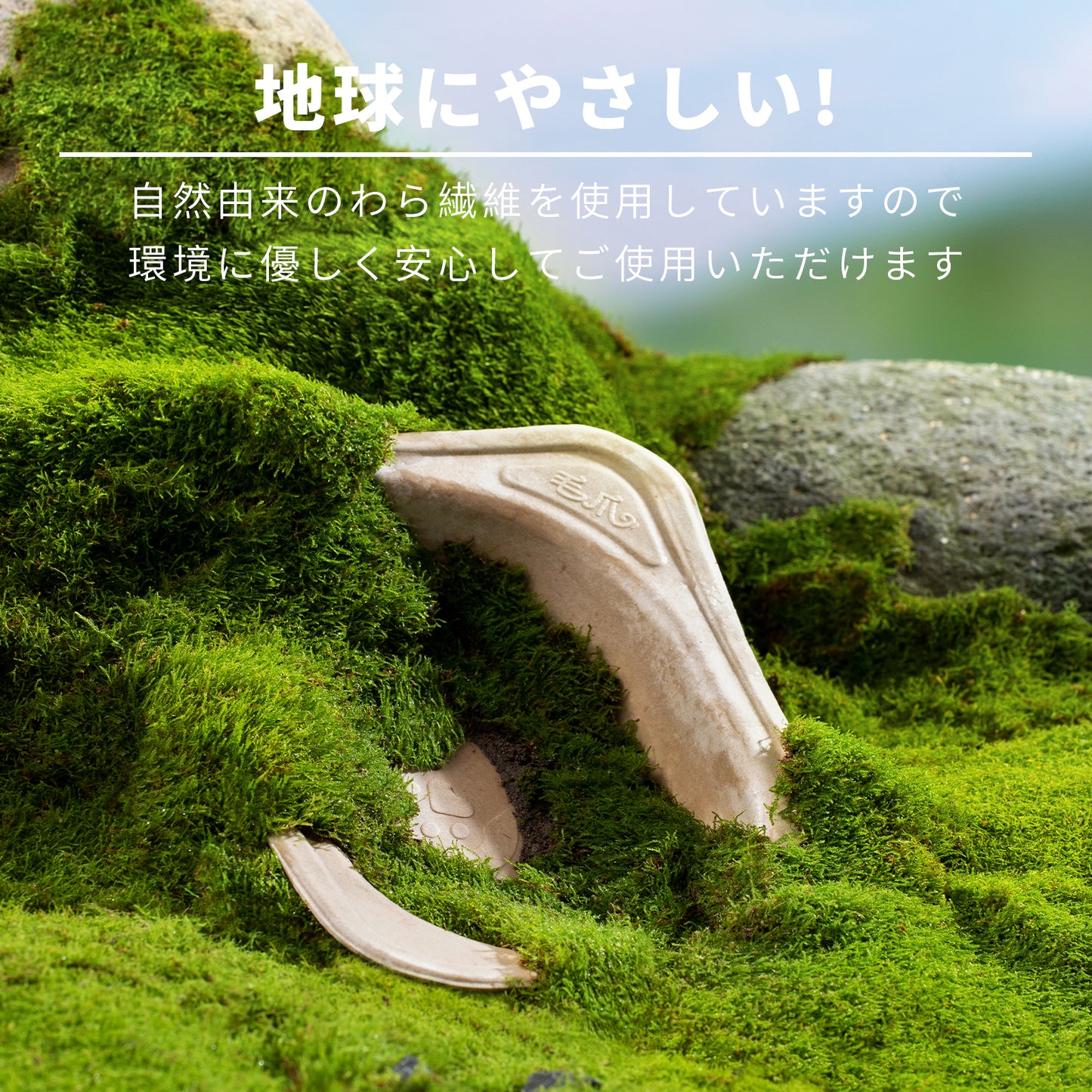 エコ使い捨てペットボウル｜生分解性ディスポボウル