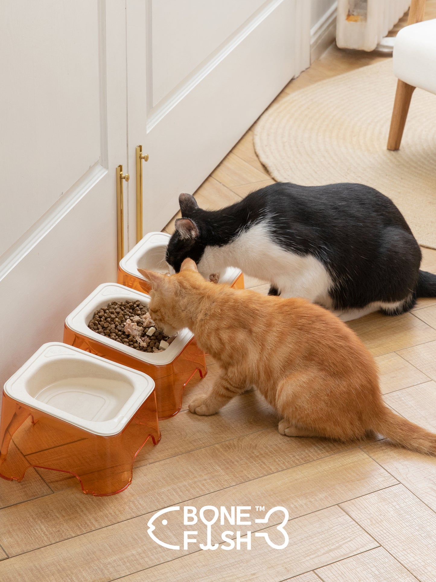 エコ使い捨てペットボウル｜生分解性ディスポボウル