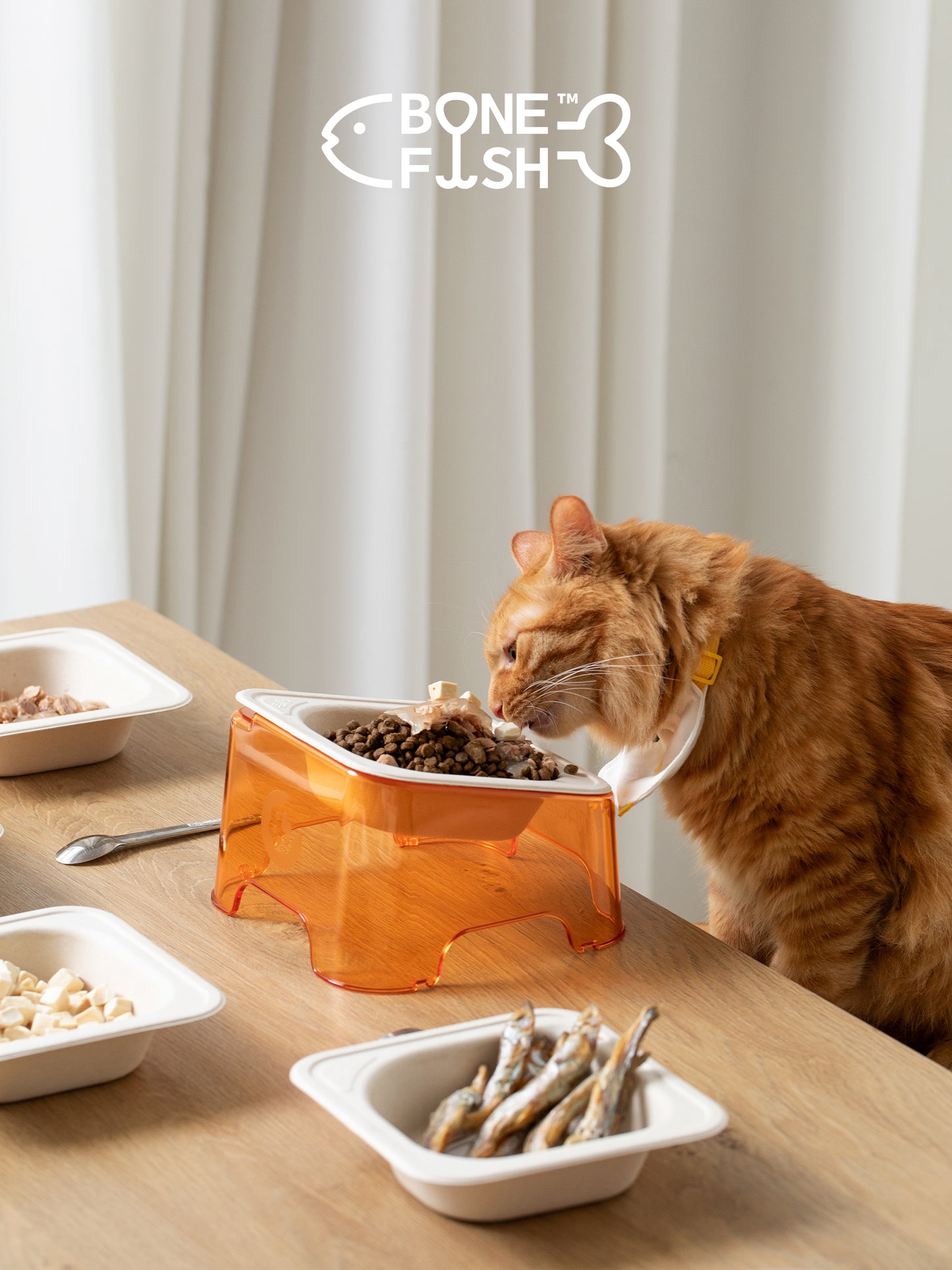 エコ使い捨てペットボウル｜生分解性ディスポボウル