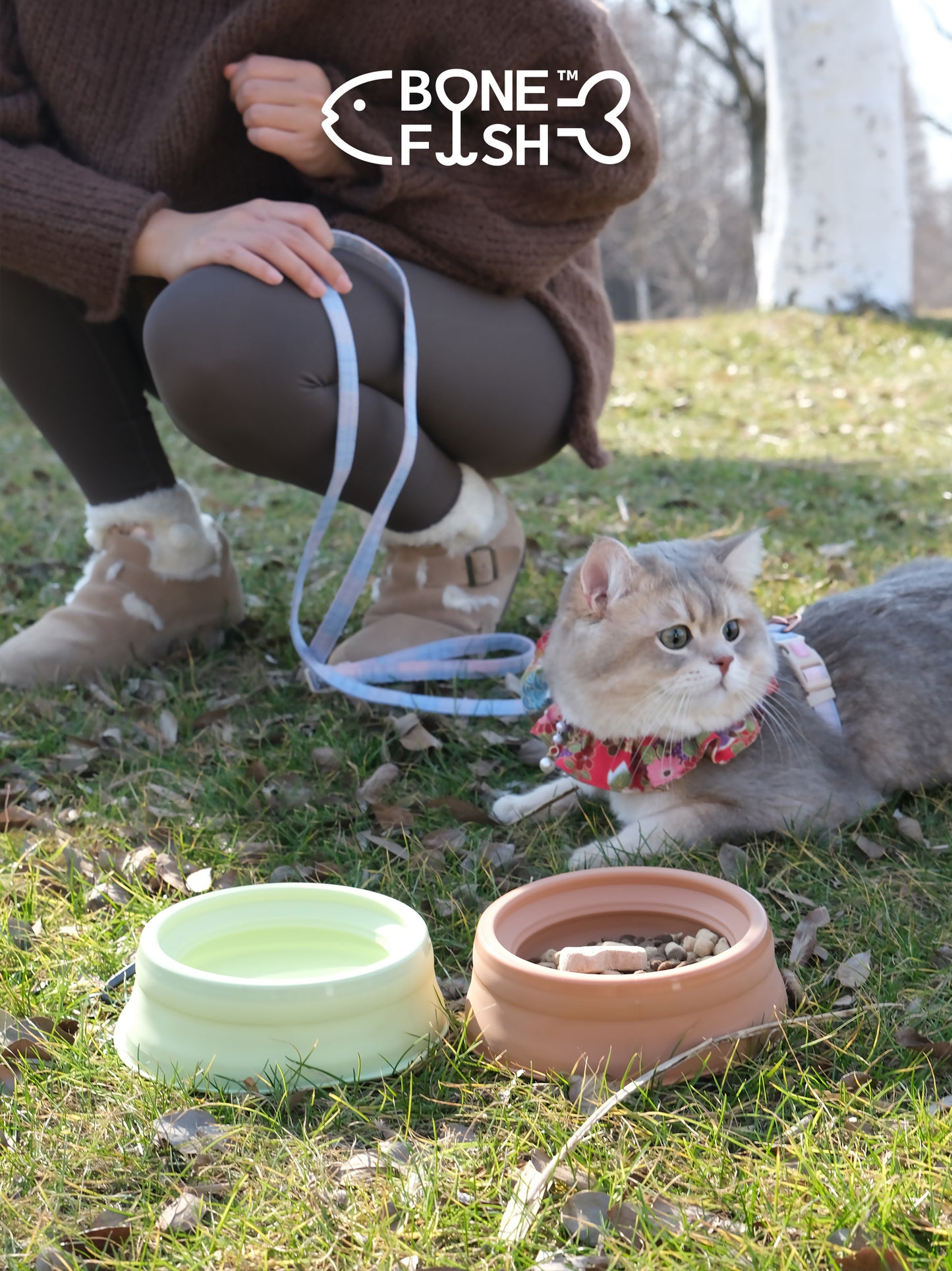 ComfortBowl (Collapsible Dog Bowl)