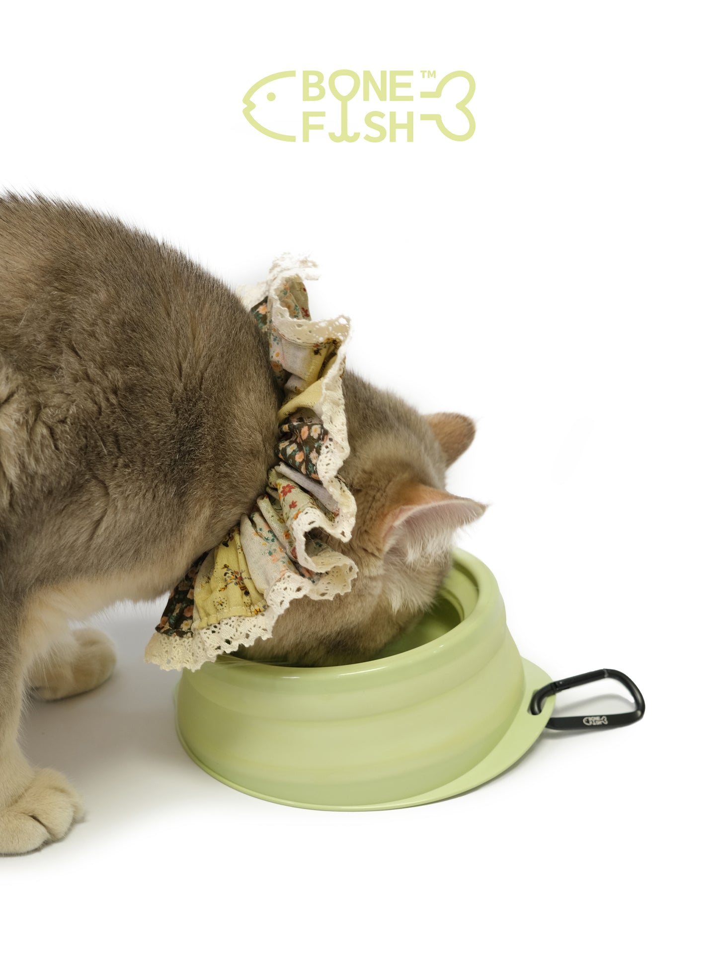 ComfortBowl (Collapsible Dog Bowl)