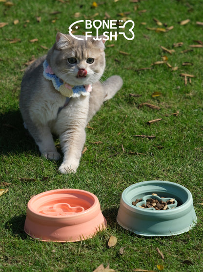 FOLDING SLOW FEEDER (Collapsible Dog Bowl)